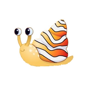 Clownfish Snail